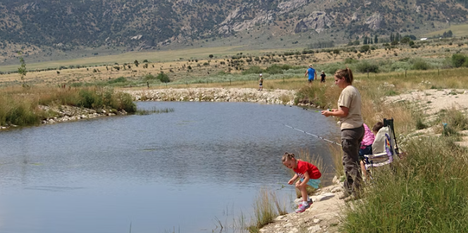 Fishing off the rocks - getting the kids involved - The Fishing