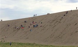 group of people sandboarding down the dune