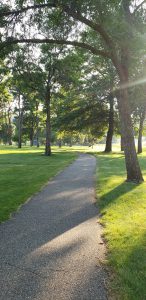 Bike path at Discovery unit with large overhanging trees