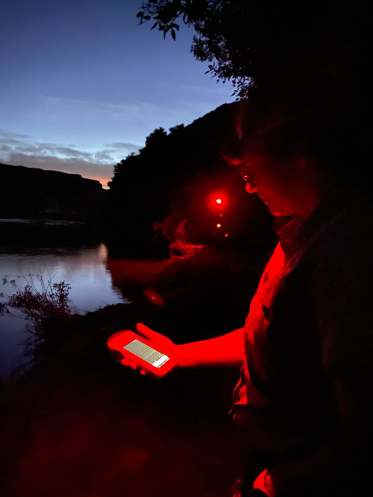 Park Ranger wearing red light headlamp with bat detector tablet. Standing near river in canyon after sunset