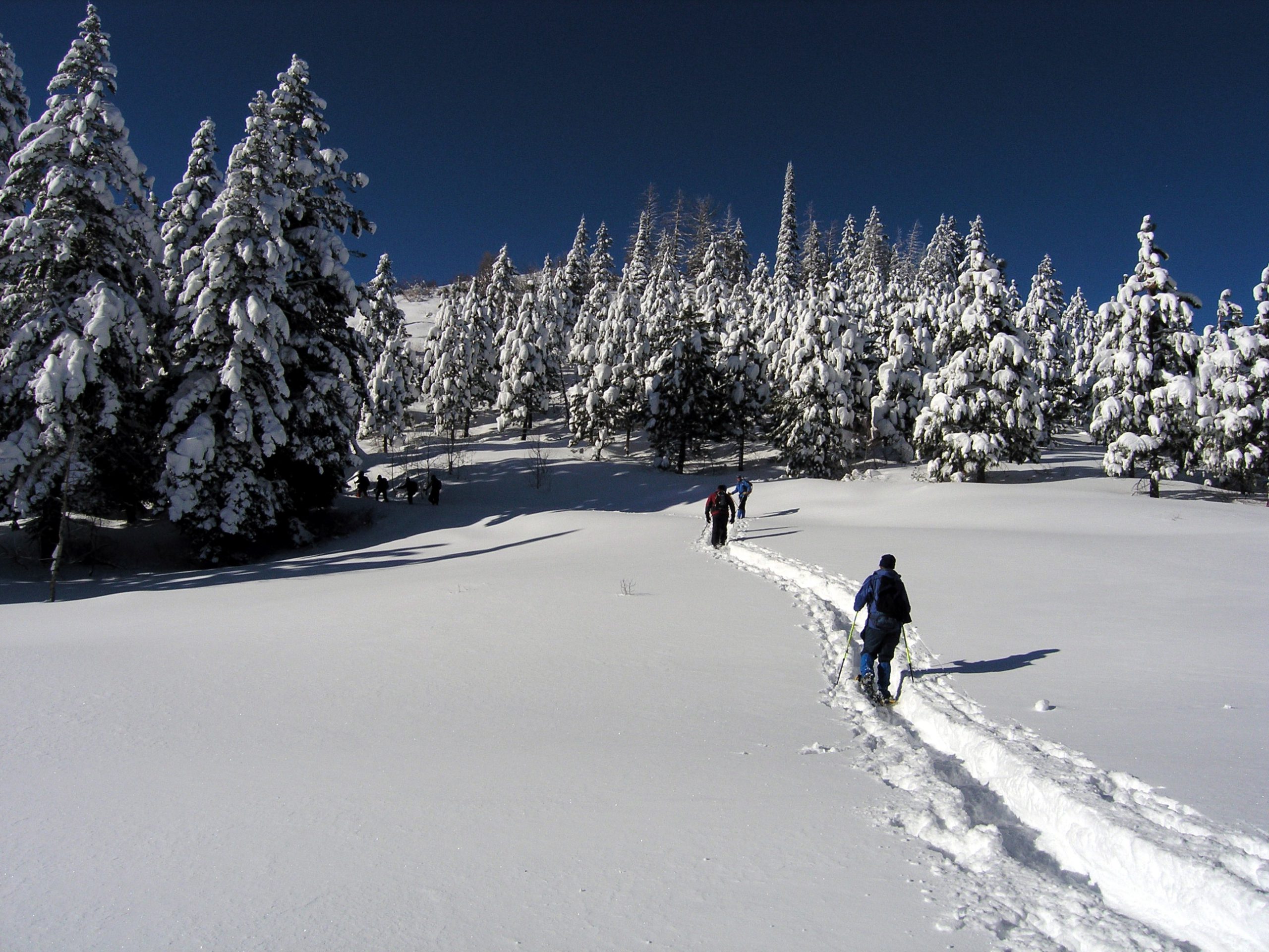 Snowshoeing at Beaver Creek Summit