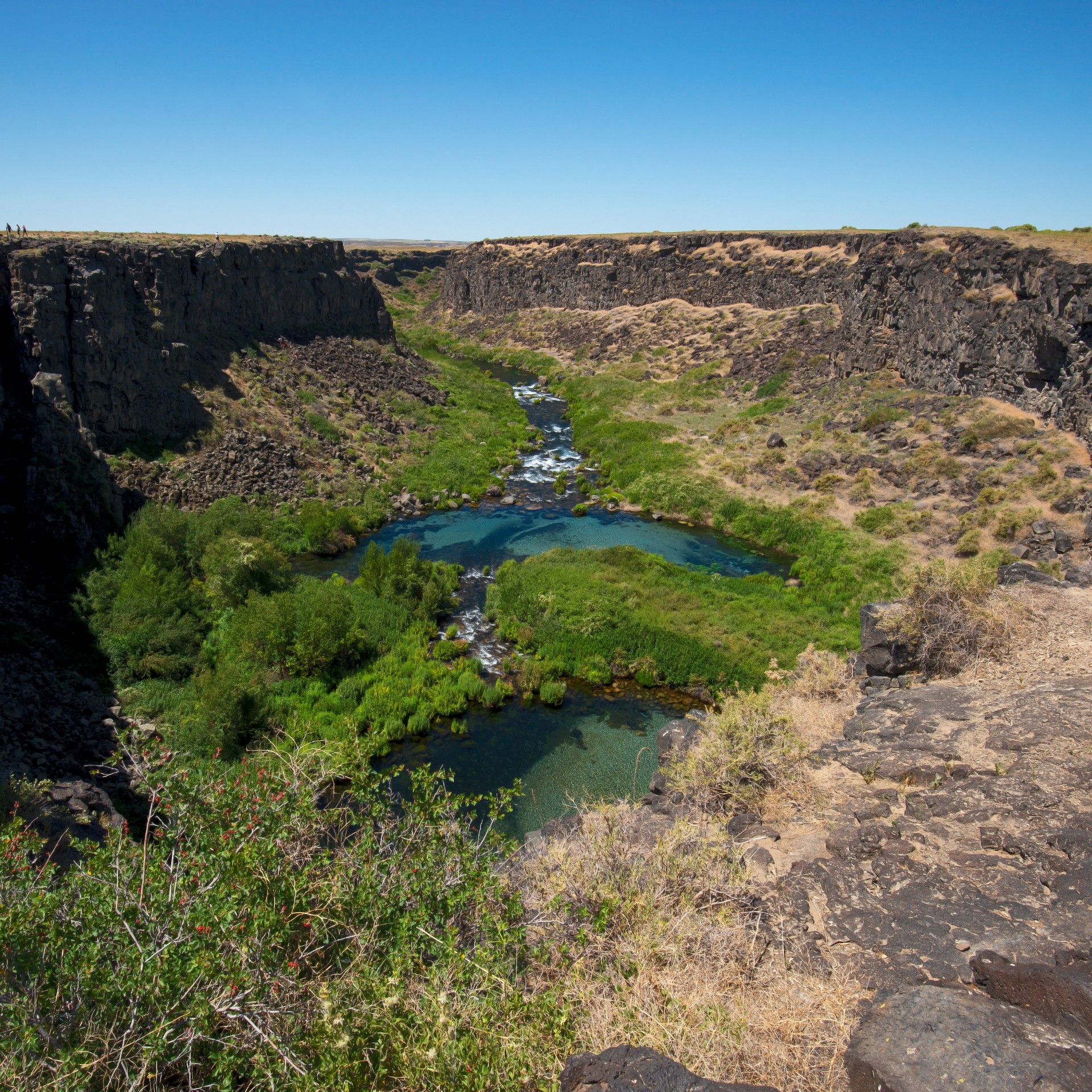 Earl M. Hardy Box Canyon Springs Nature Preserve