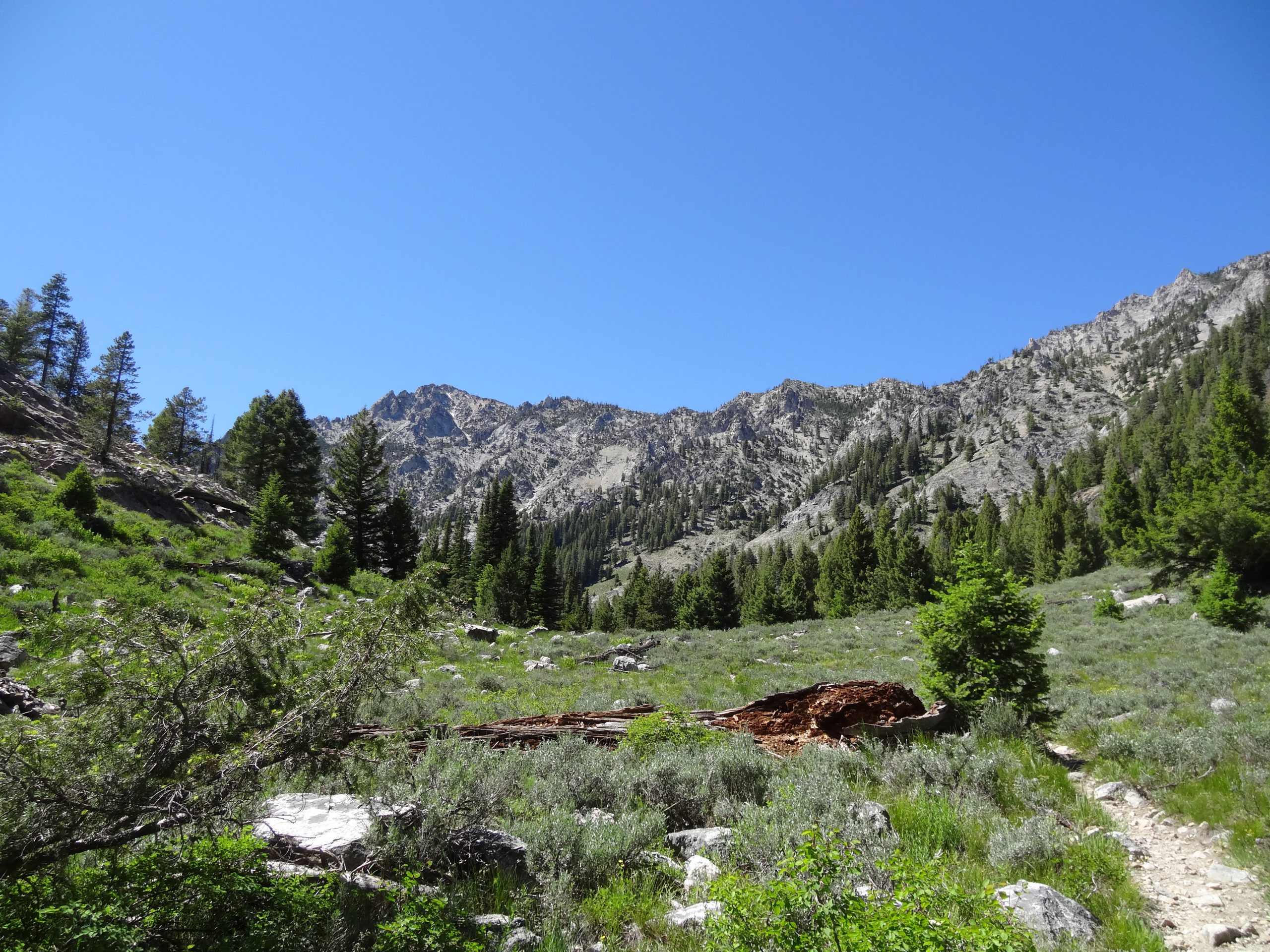 Hiking Idaho trails