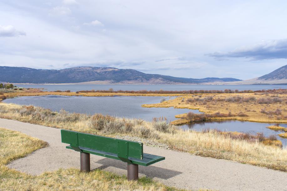 View of natural area at Henry's Lake