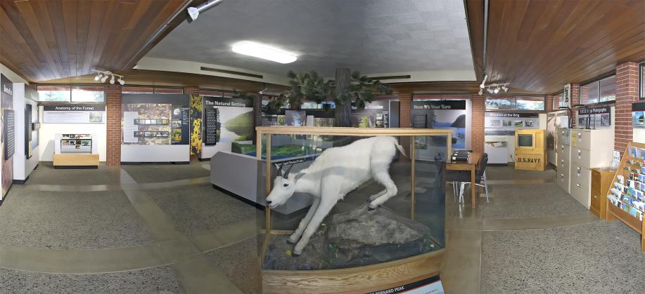 Visitor center interpretive displays