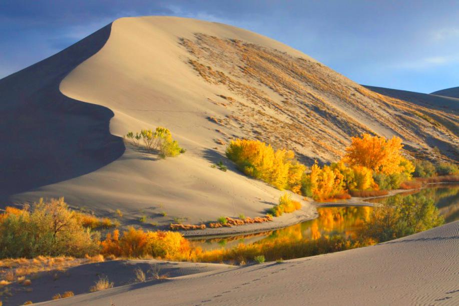 The Dunes in the fall
