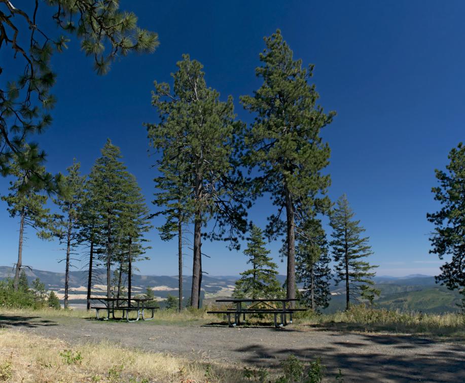 Campsite with a view at McCroskey