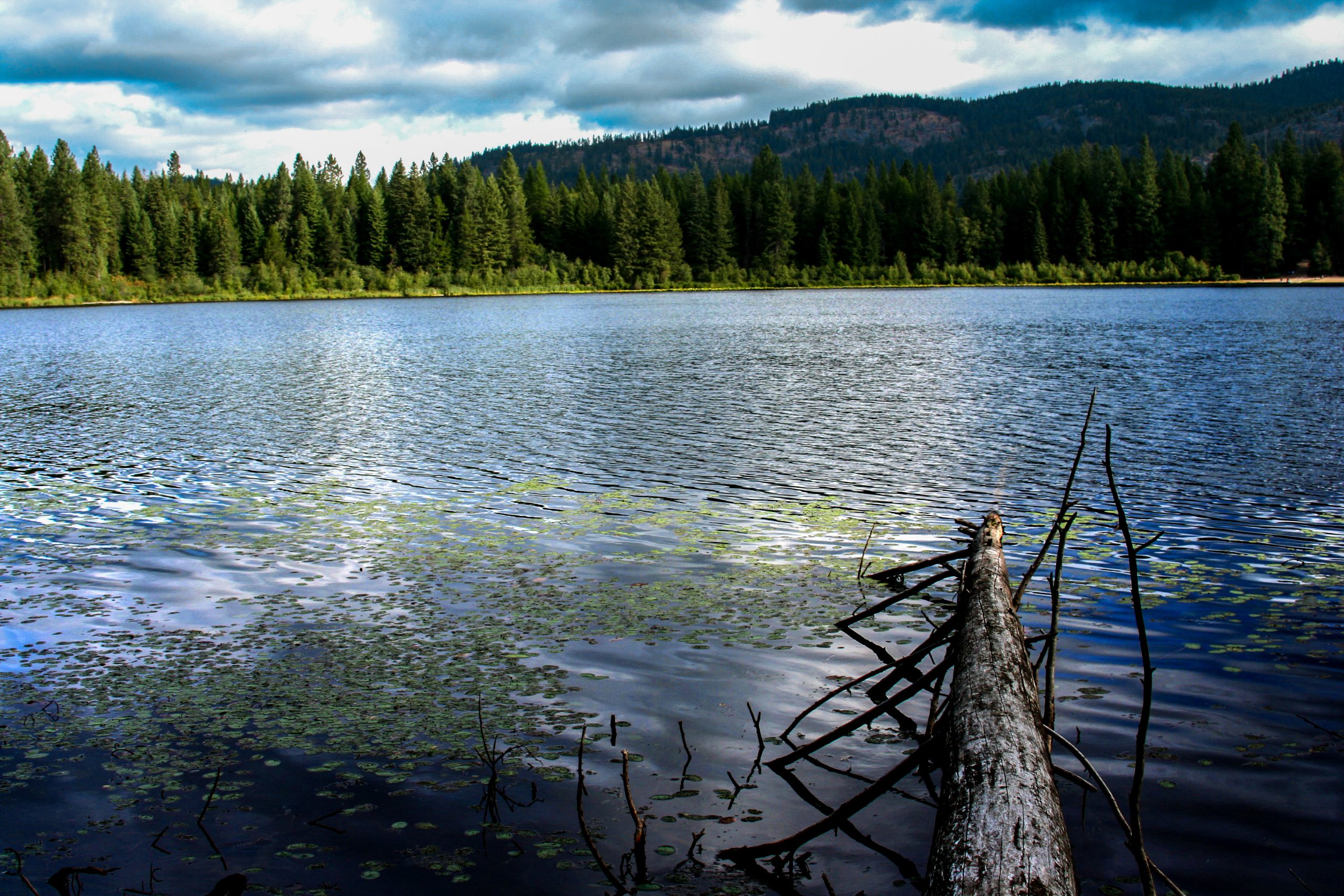 Scenic image of round lake state park