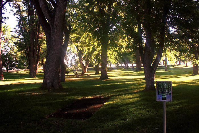 Lake Walcott's beautiful disc golf course
