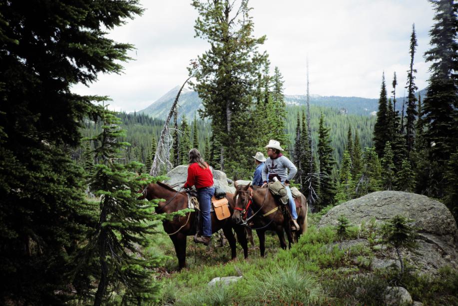Horseback riding in Idaho State Parks