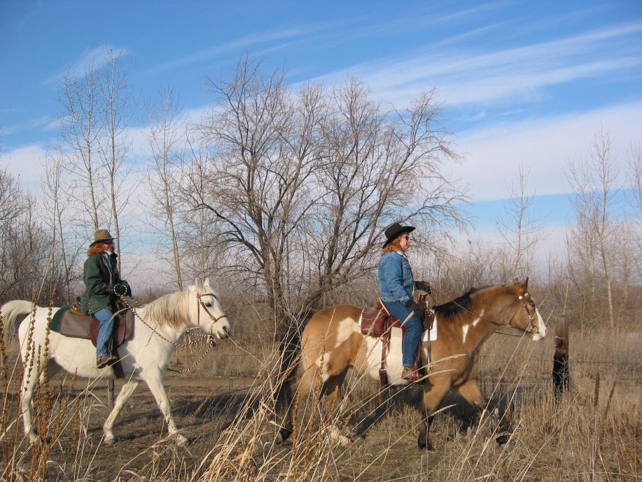 Horseback riding in Idaho State Parks