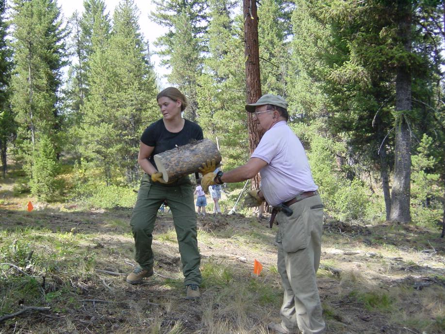 Volunteers clean up Idaho City yurt trail
