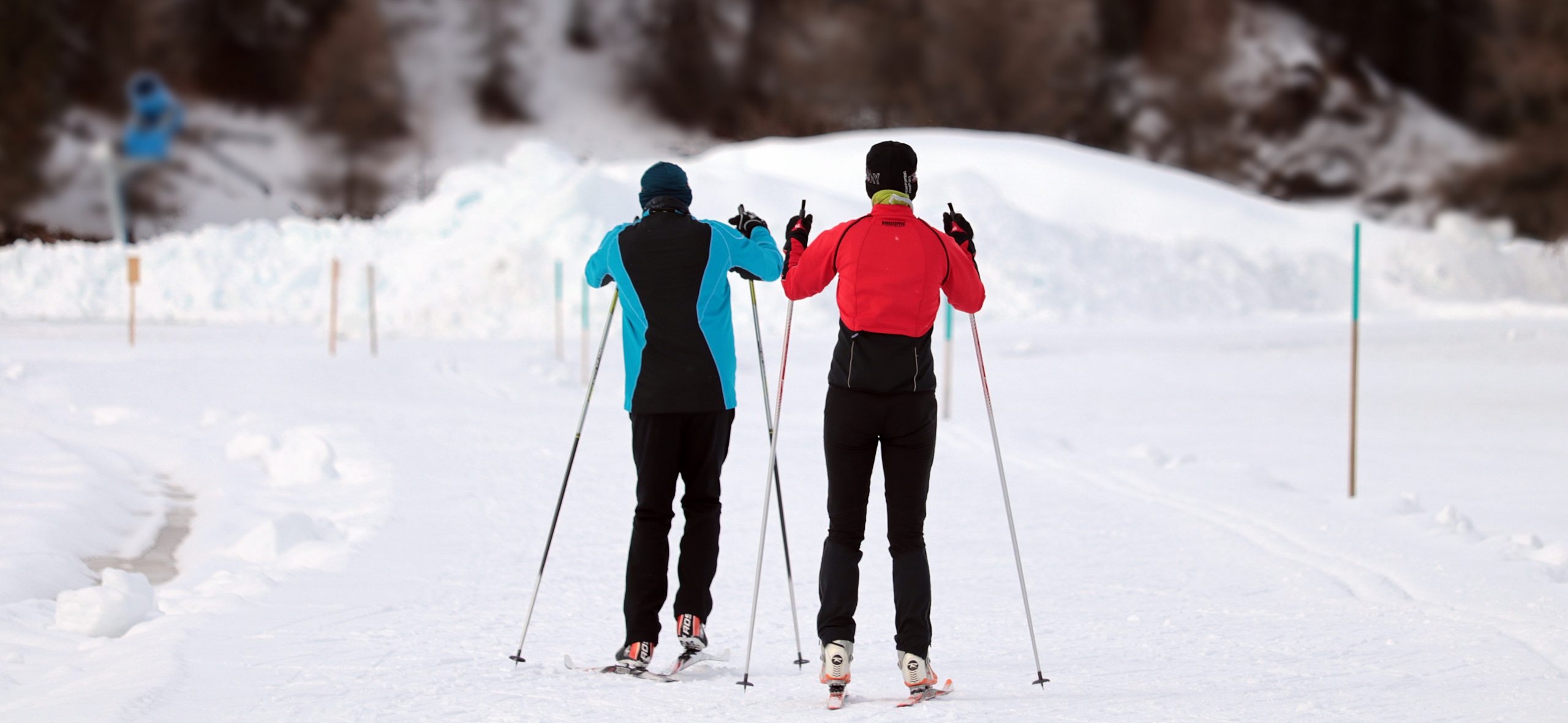 back of two people cross country skiing