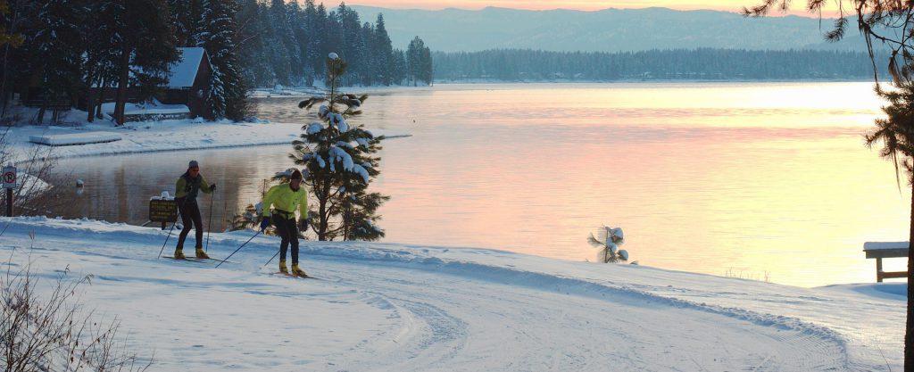 people xc-skiing at sunset
