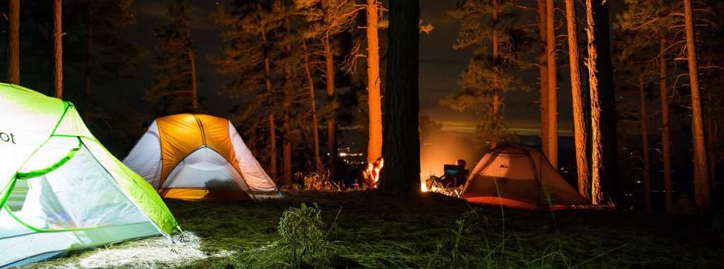 Lit up tents in the woods