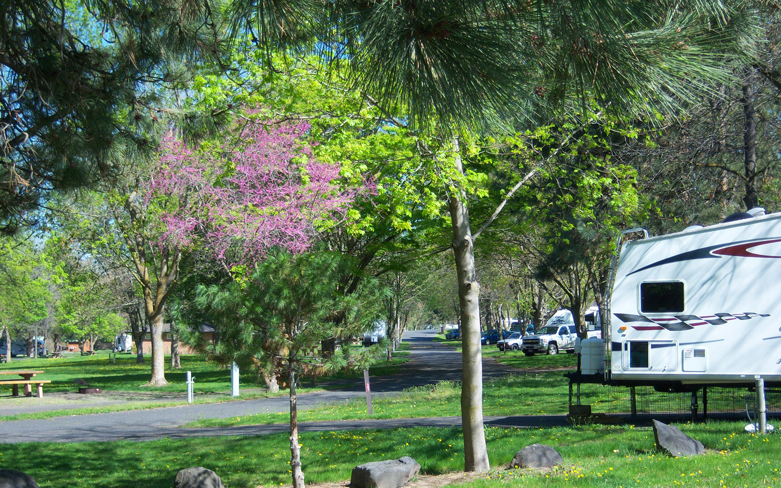Lush, green RV campground