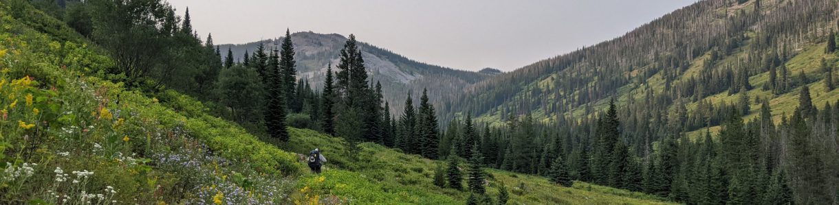 Coeur d’Alene Parkway — photo 5