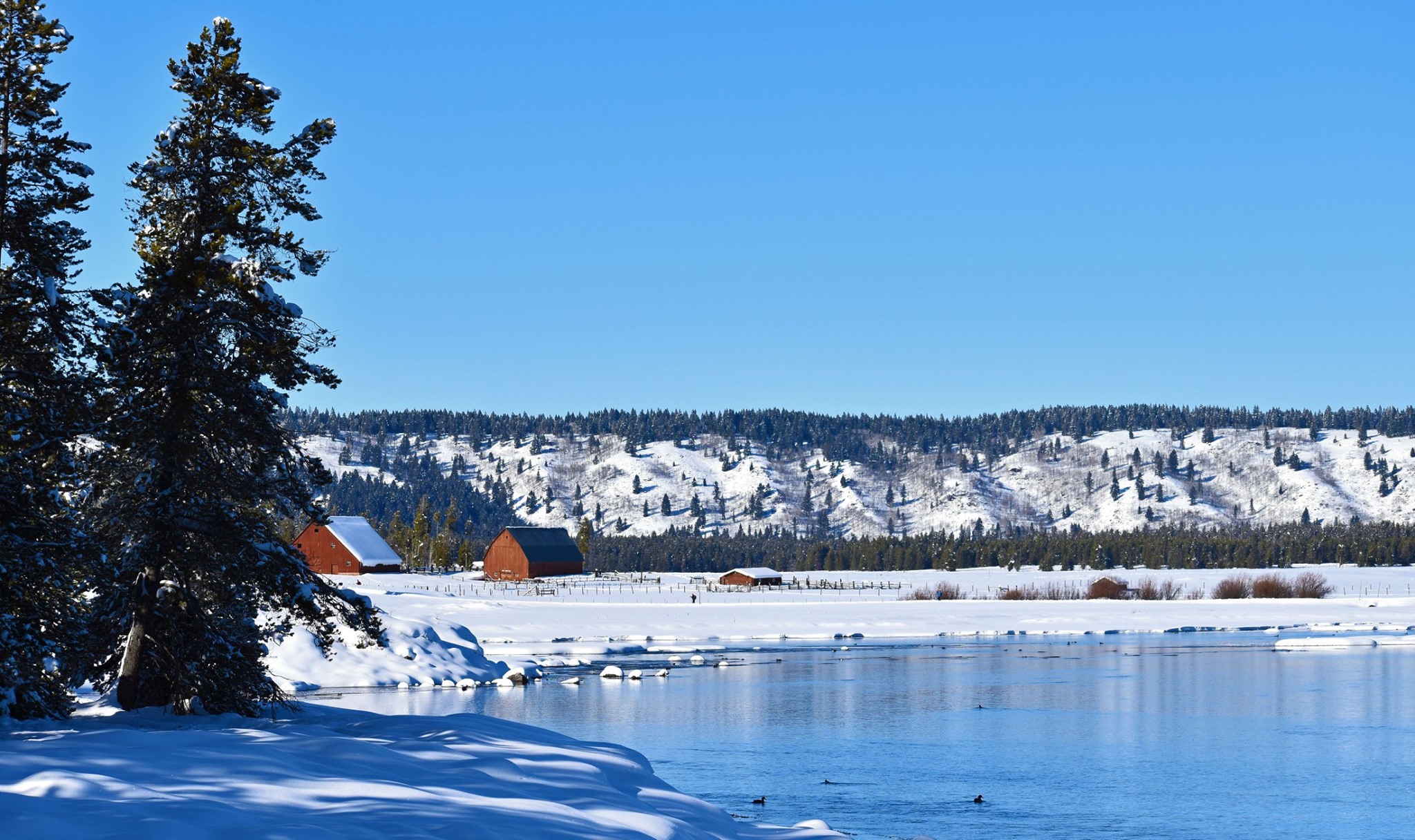 Snowy winter day at Harriman