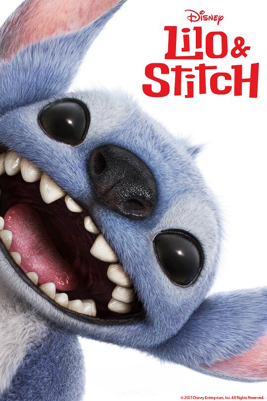 liloonesheet