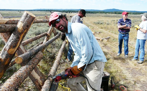 people fixing fence