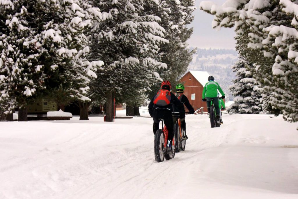 fat tire bikes on snow