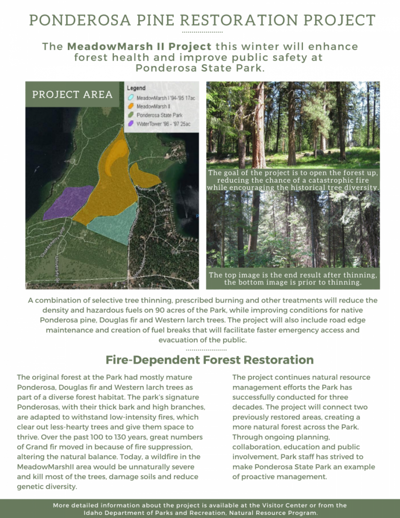 ponderosa pine restoration project flier
