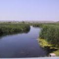 view of the creek