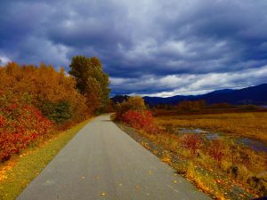 view of autumn clouds and paved trail