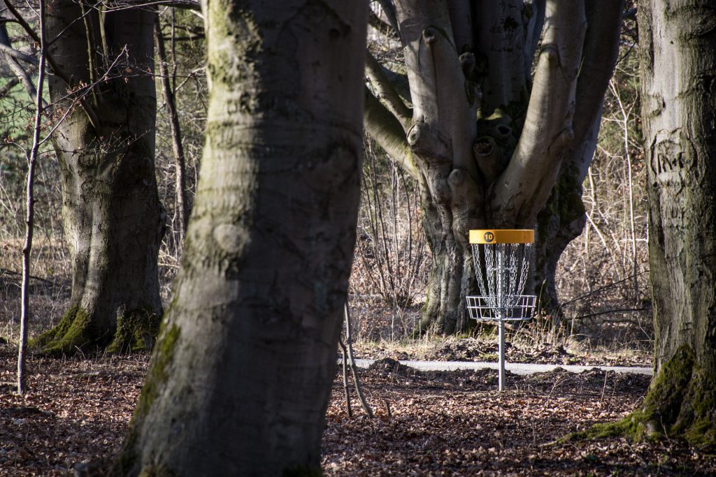 Disc golf in a wooded area